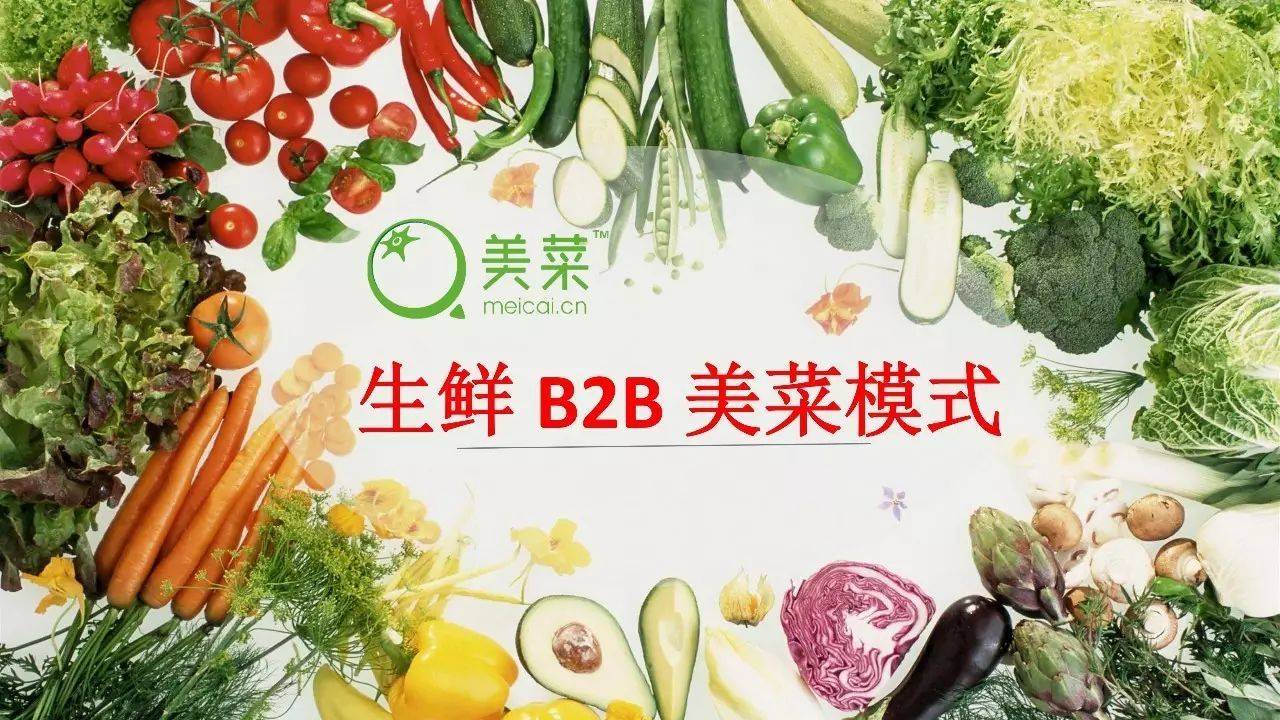 美菜网最新消息,美菜网最新动态，引领食材供应链革新，共创美好餐饮未来，美菜网引领食材供应链创新，共创美好餐饮未来