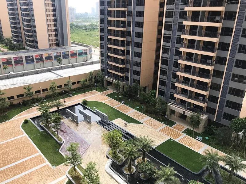 阳江市泓景苑最新消息,阳江市泓景苑的最新动态，阳江市泓景苑最新动态揭秘